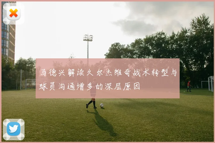 马德兴解读久尔杰维奇战术转型与球员沟通增多的深层原因